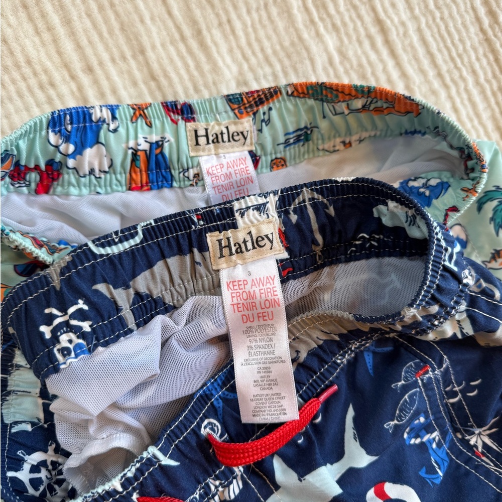 Hatley Blue Rashguard Swim Set - Picture 4 of 8